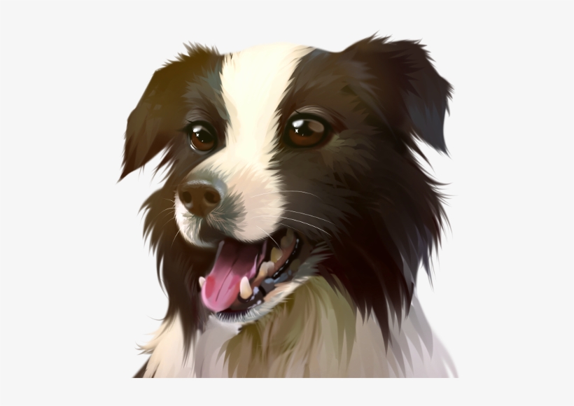 Collie - Chinese Crested Dog, transparent png download