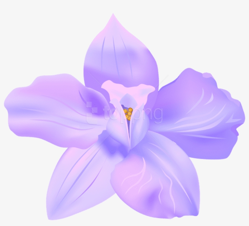 Violet Spring Flower Decorative Transparent Image - Portable Network Graphics, transparent png download