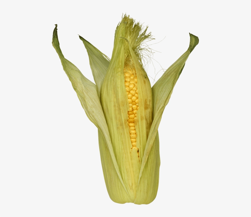 Free Png Corn Png Images Transparent - Кукуруза Пнг, transparent png download
