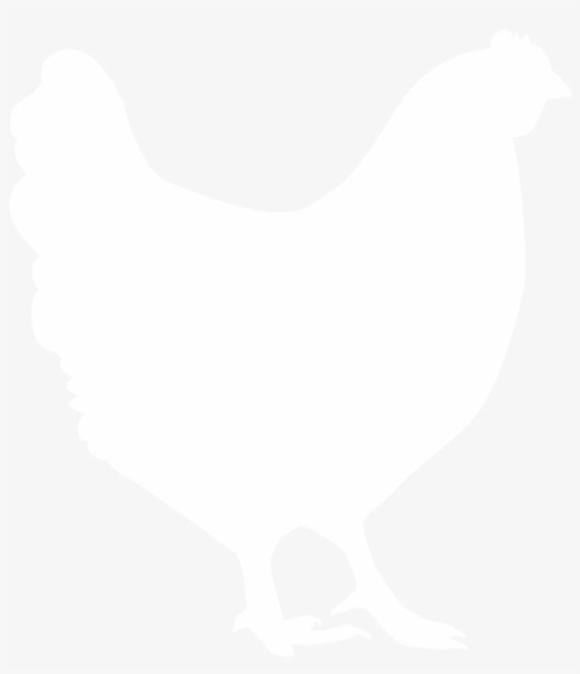 Happy Chickens - Lorem Ipsum, transparent png download