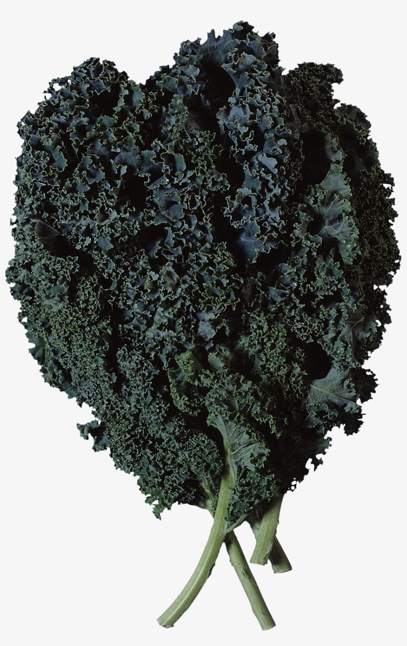 Salad Png Image - Curly Kale, transparent png download