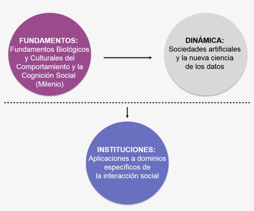 Líneas - Circle, transparent png download