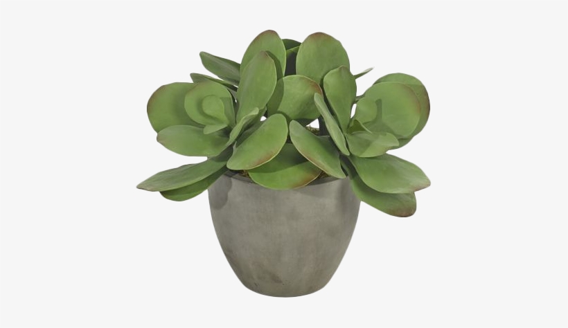 Flowerpot, transparent png download