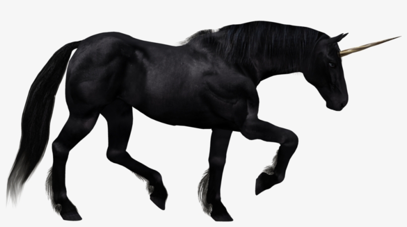Unicorn Horse Images Black And White, transparent png download