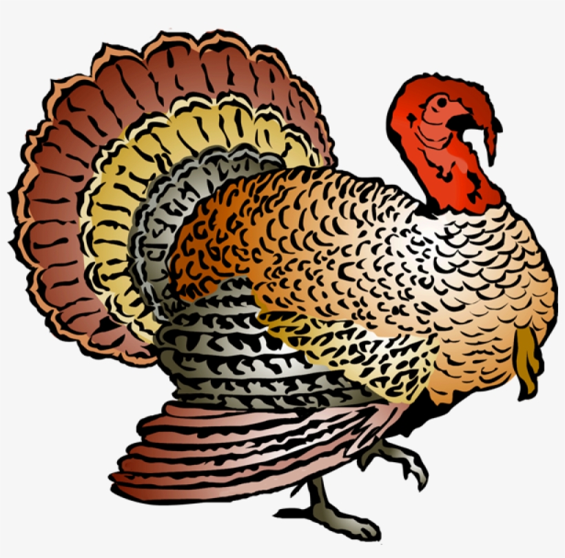 Profile Clipart Turkey - Wild Turkey Clipart, transparent png download