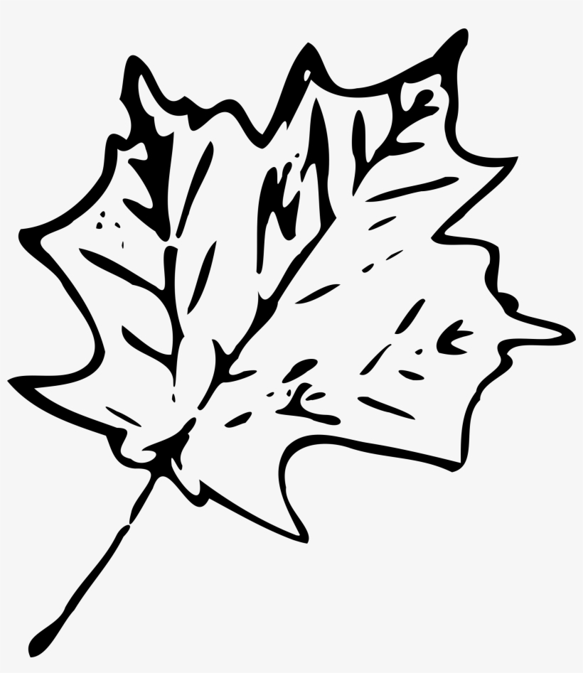 Fall Leaves Clip Art Black And White - Leaf Clip Art Black And White, transparent png download