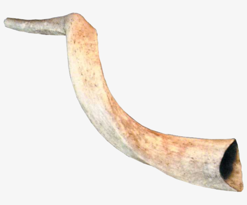 Ram Horns Png - Warehouse 13, transparent png download