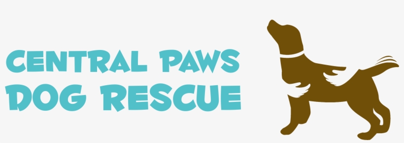 Countries In Africa: A Colouring Book, transparent png download