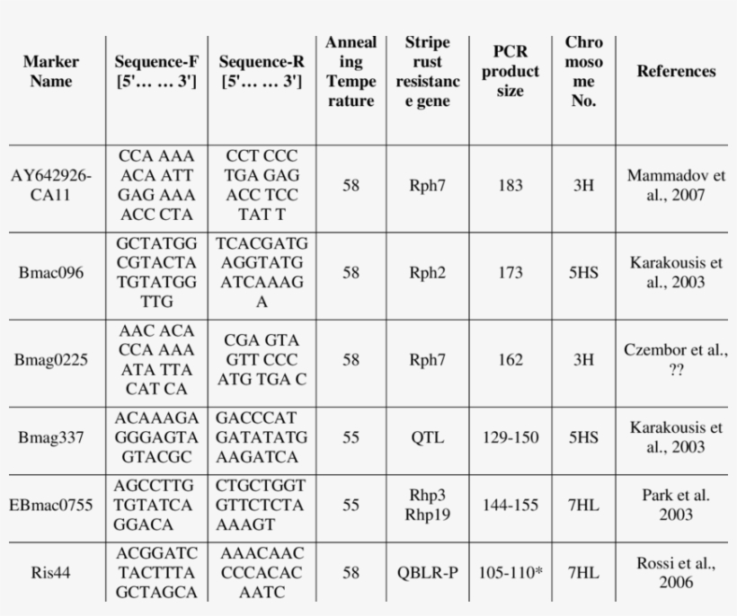 Ssr Markers Used To Identify Presence Of Leaf Rust - Number, transparent png download