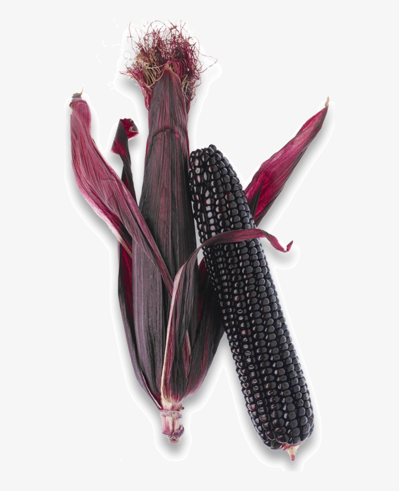 Corn Lrg Png8 - Corn Violet, transparent png download