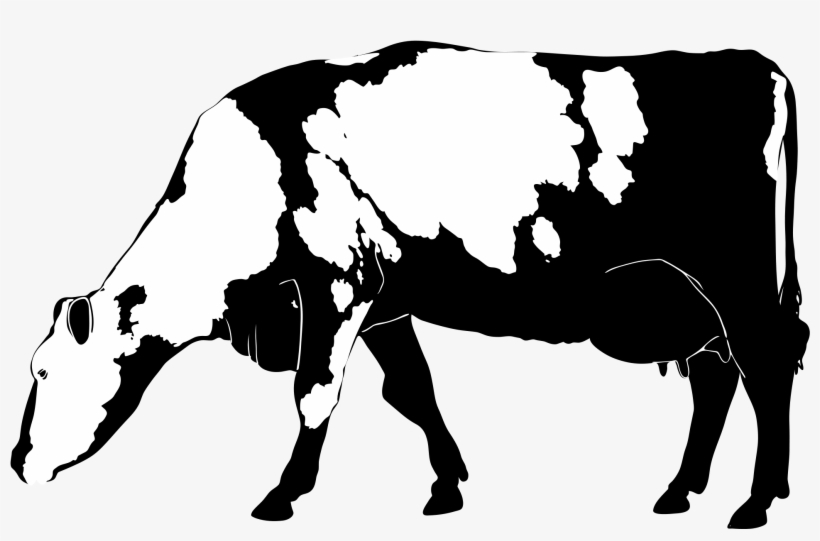 Open - Cow Hd Png Clipart, transparent png download