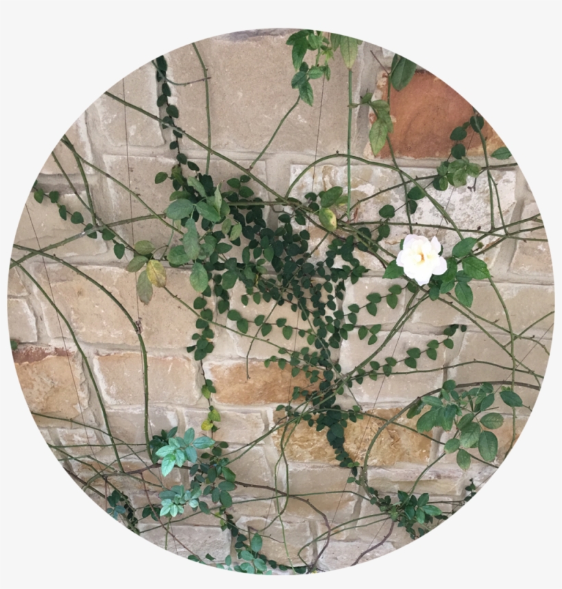 Img 0673 Beth Circle Founder Page - Jpeg, transparent png download