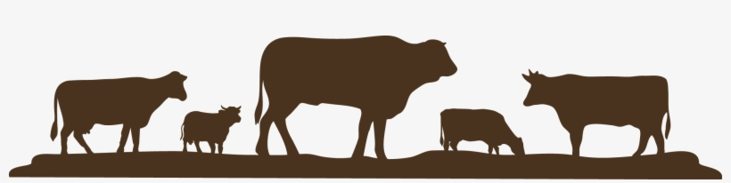 Reese Cattle Company - Cows Silhouette Png, transparent png download
