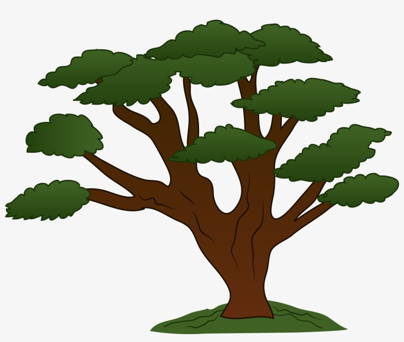 Sweeping Oak Tree Design - Tree Clipart, transparent png download