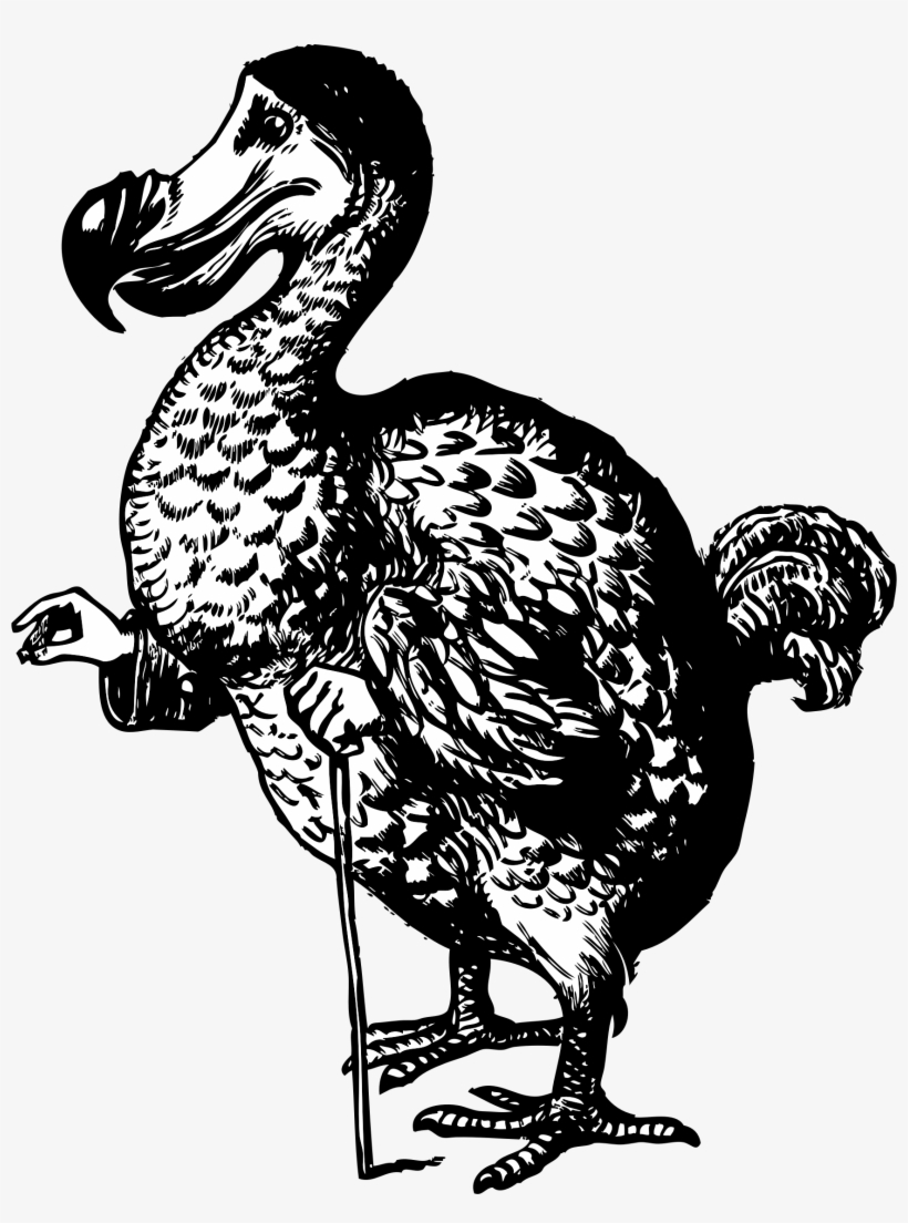 This Free Icons Png Design Of The Dodo From Alice In, transparent png download