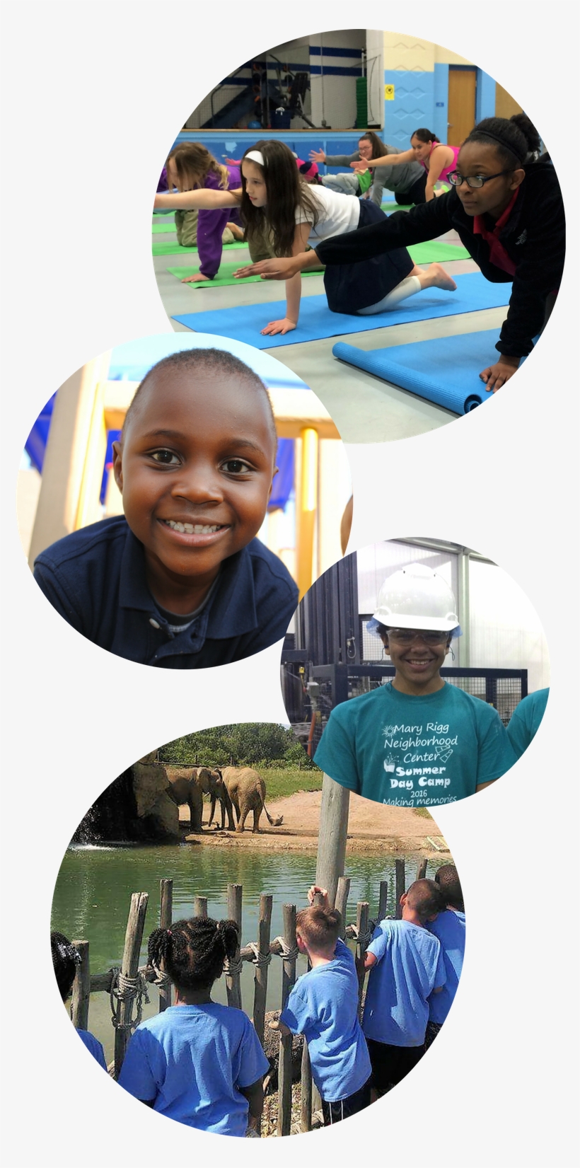 Dodgeball Faq Graphic - Mary Rigg Neighborhood Center, transparent png download