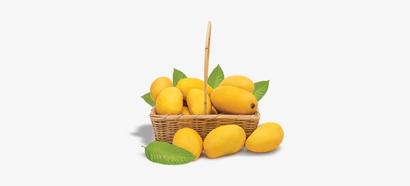 Naturally-delicious Mangoes Are Cultivated For The - Tangerine, transparent png download