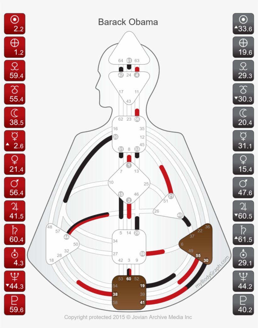Barack Obama President Human Design - Human, transparent png download