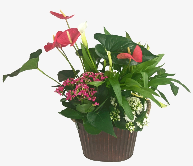 Blooming Mixed Garden - Garden, transparent png download