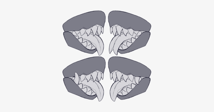Also Can Come In A Variety Of Shapes, transparent png download