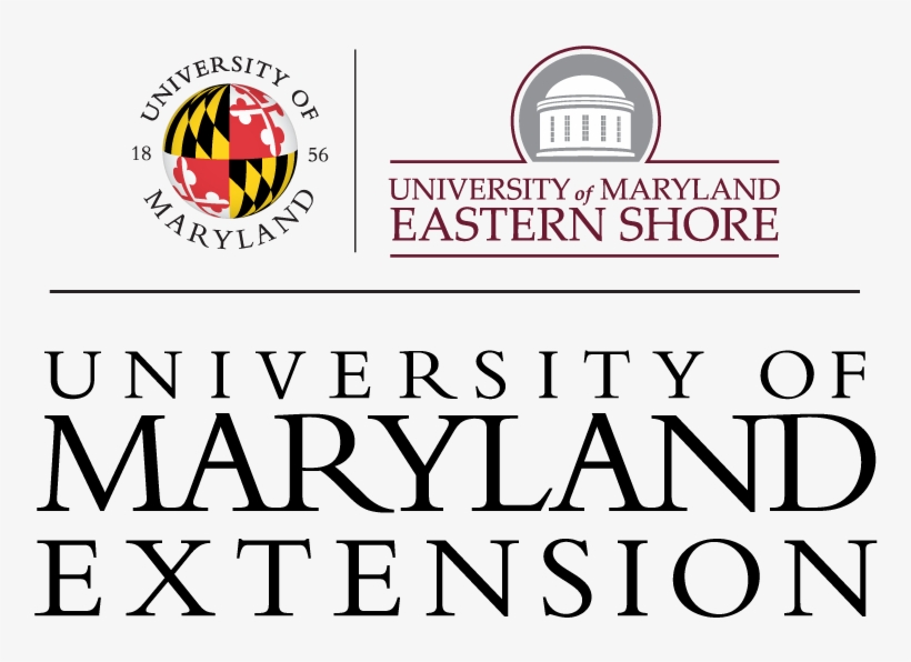 University Of Maryland Extension Logo - University Of Maryland Extension, transparent png download