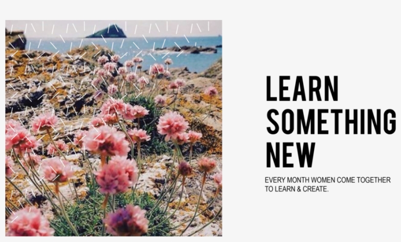 1 Image 01 - Flowers By The Ocean, transparent png download