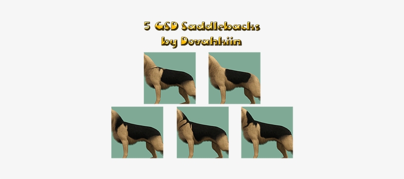 German Shepherd/saddleback Markings By Dovahkiin Kennel - Saddleback Markings, transparent png download