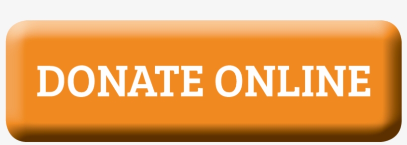 If You Would Prefer To Donate By Check, Please Make - Ok Go, transparent png download