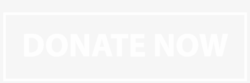 Donate Now Ghost Button Blue - Shop Now Button Png, transparent png download