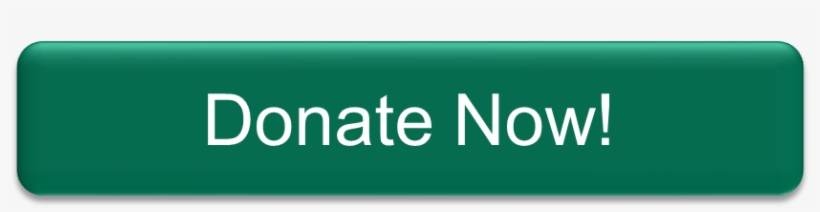 Donate Now Button1 - Graphic Design, transparent png download