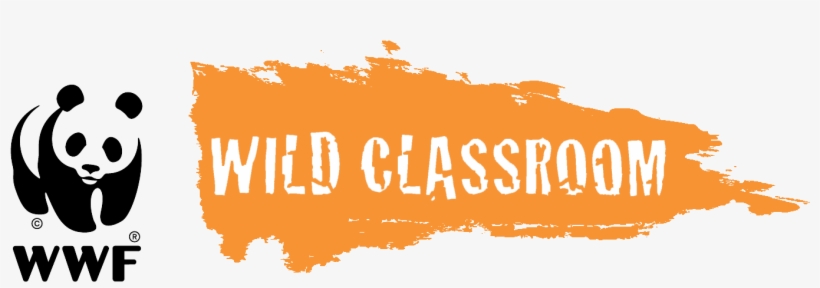 World Wildlife Fund Launches Free Educational Resource - World Wide Fund For Nature Logo Wwf Huge 47x35 Print, transparent png download