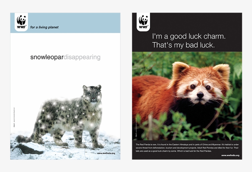 World Wildlife Fund - Swift Fox, transparent png download