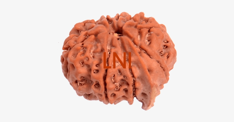 9 Mukhi Ganesha Size - Ganesha, transparent png download