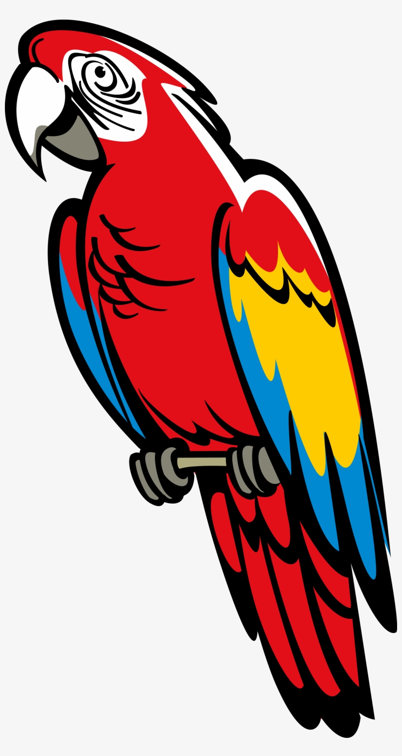 Beak Clipart Macaw Parrot Coat Of Arms Png 1940 * 3555 - Parrot Coat Of Arms, transparent png download