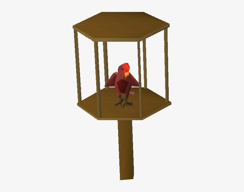 Parrot - Turkey, transparent png download