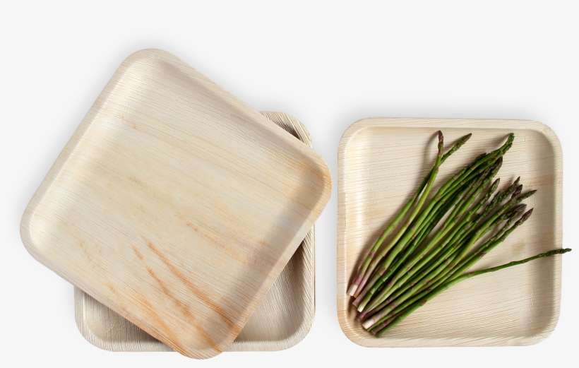 10" Square Plate Square Plates, Palm Leaf Plates, Disposable - Leafily Palm Leaf Plates - 10 Inch Square - Heavy Duty, transparent png download