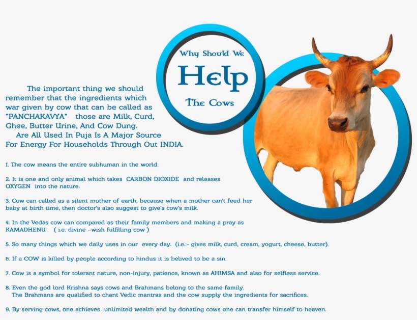 Home - Working Animal, transparent png download