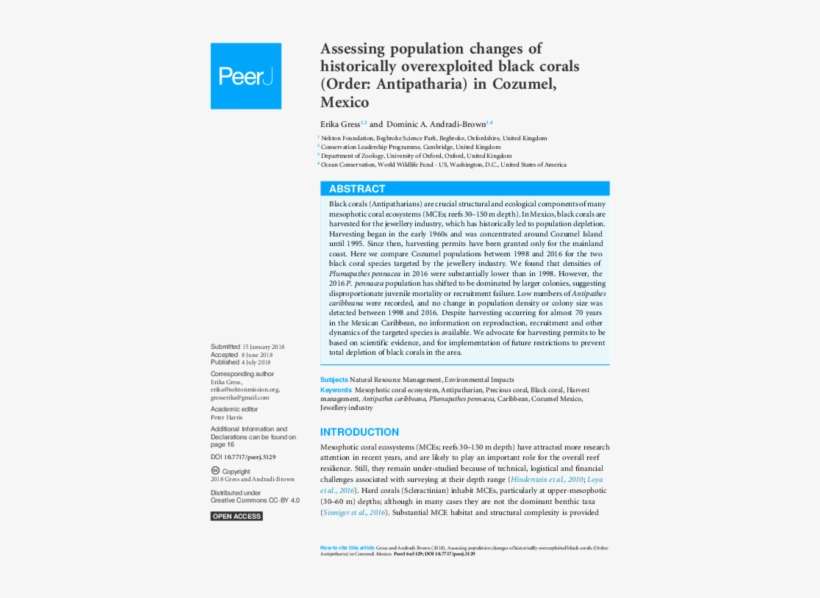 Keywords - Spinosaurus Nhm R 16421, transparent png download