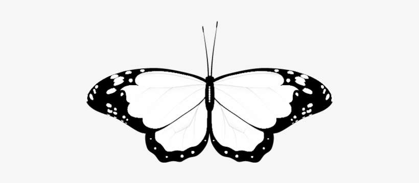 Wedding Clipart Butterfly - Monochrome Butterfly, transparent png download