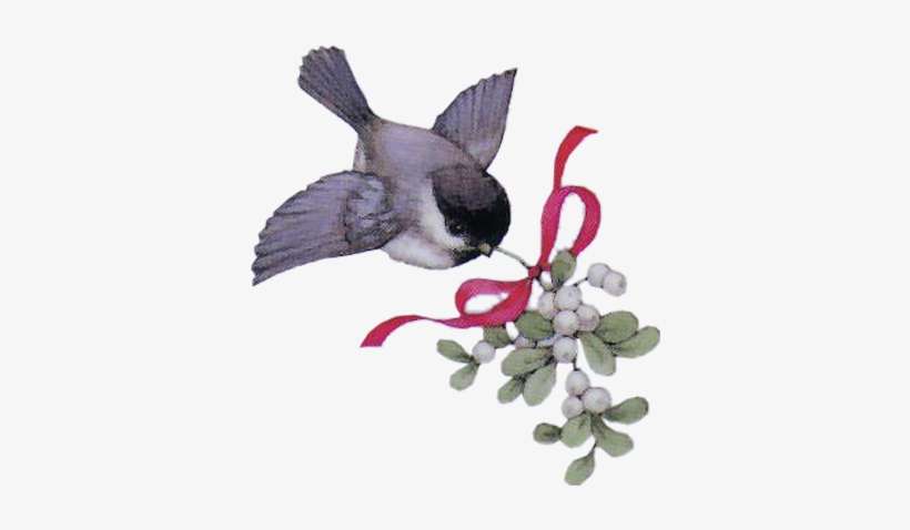 Oiseaux Noel - Gui L An Neuf, transparent png download