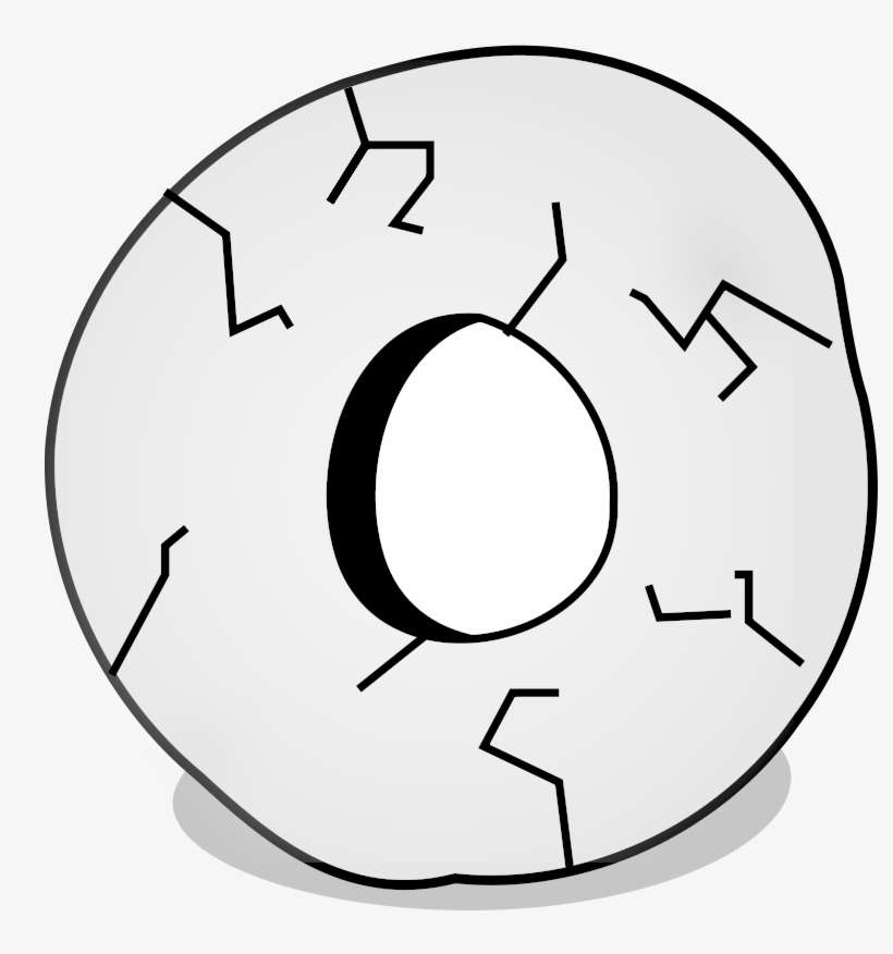 Wheel Clip Art Download - Interview Questions And Answers 12th Pass, transparent png download