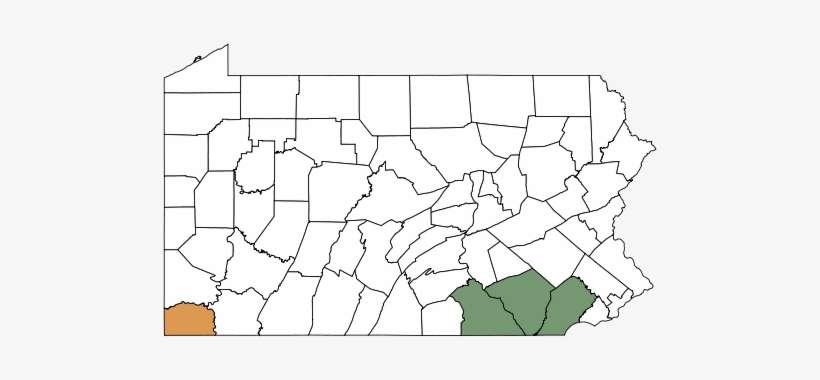 May Be Confused With - Map Of Pennsylvania, transparent png download