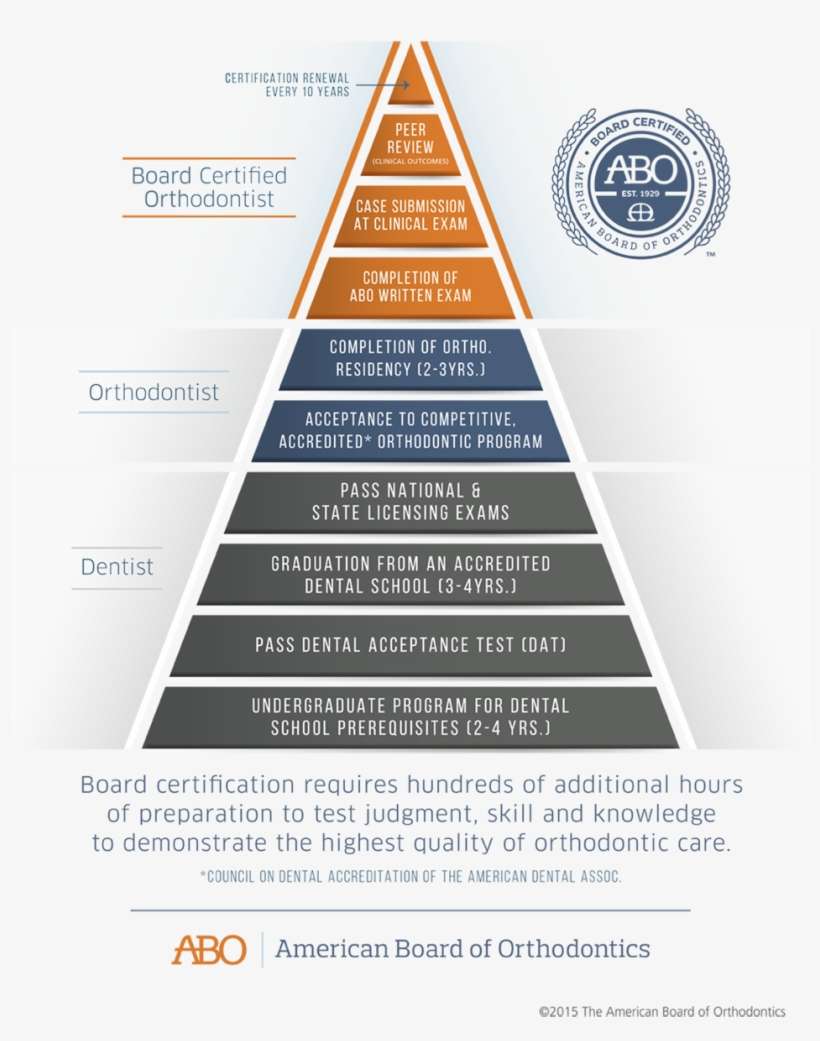 If The Applicant Successfully Passes These Stages, - Orthodontist Certification, transparent png download