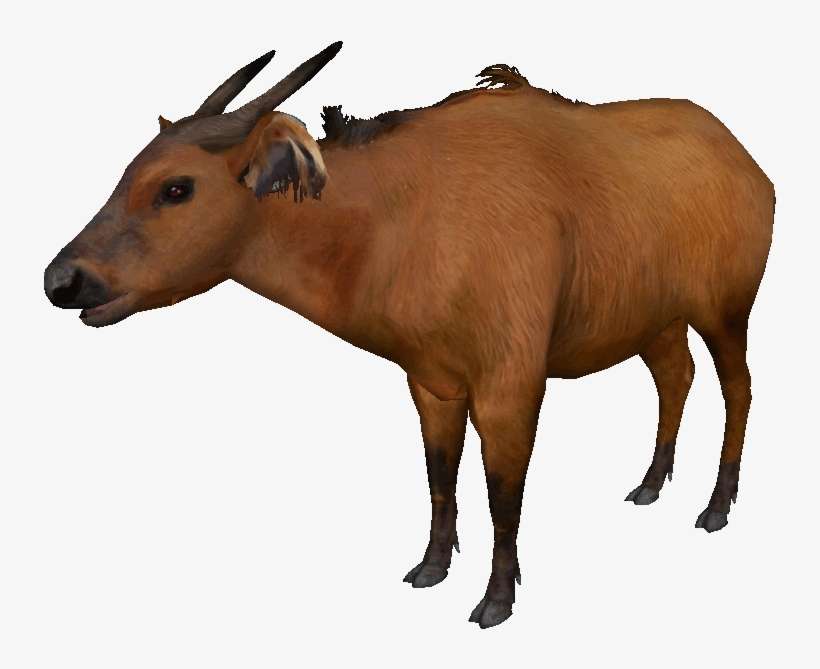 Congo Buffalo - Zoo Tycoon 2, transparent png download