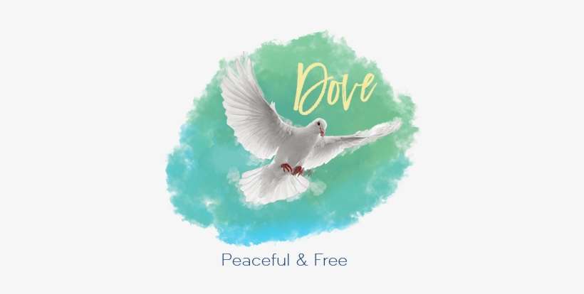 Dove - Stock Dove, transparent png download
