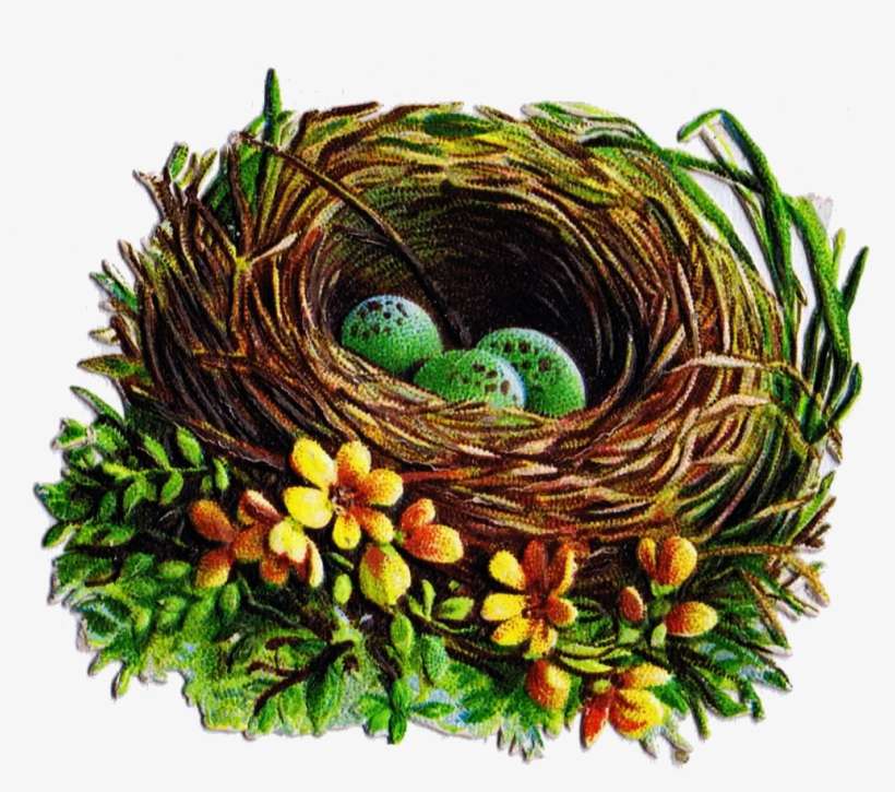 Bird Nest And Egg Graphics 5 Antique Die Cut Images - Wreath, transparent png download
