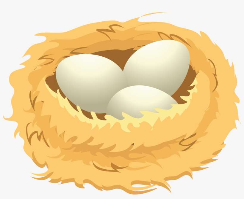 Nest Png - Eggs In A Nest Clip Art, transparent png download