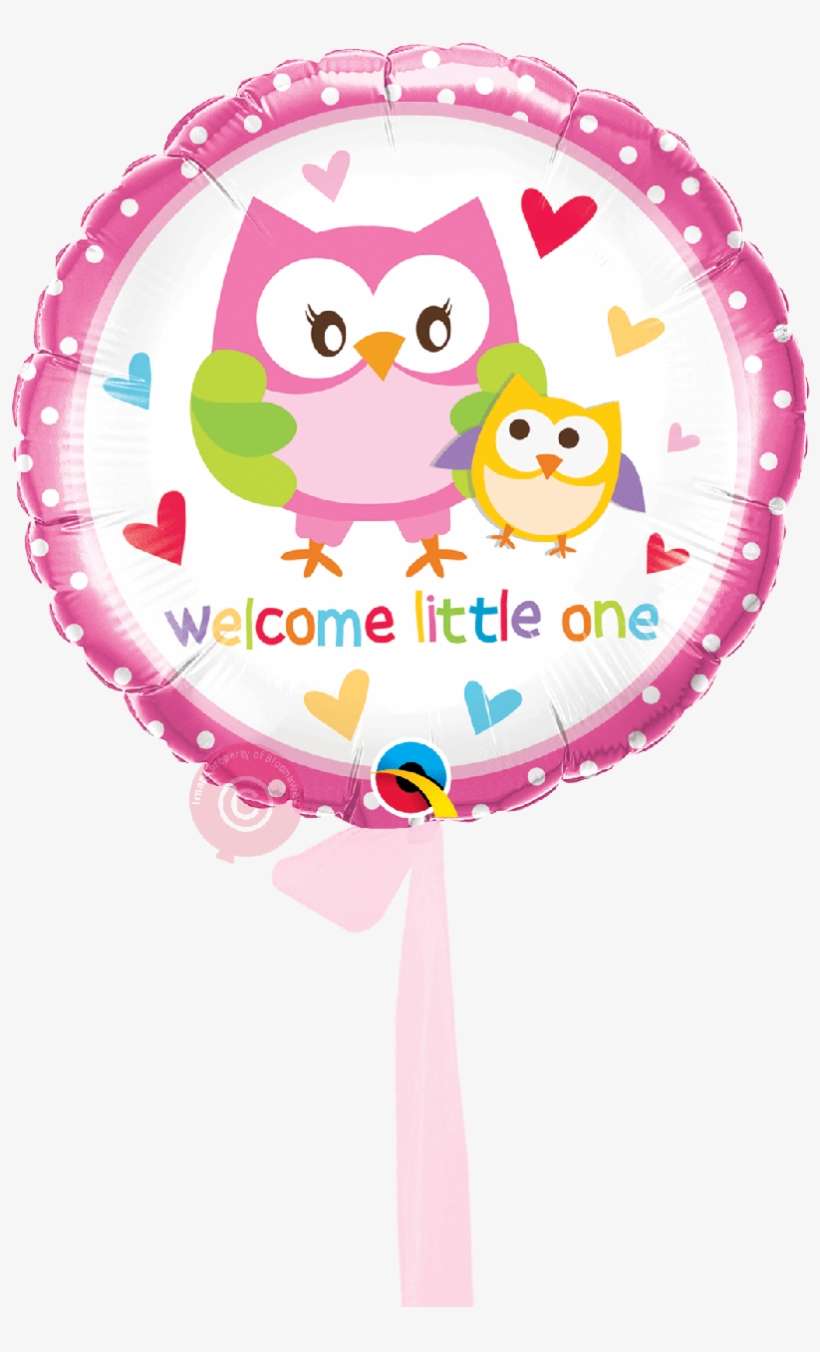 Welcome Little One Owls-single Balloon - 18" Welcome Little One Owls Foil Balloon, transparent png download