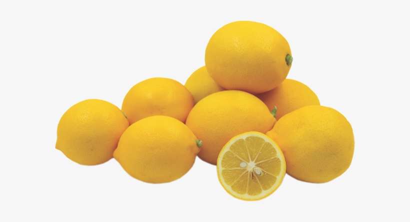 इस नींबू के वृक्ष-फलों से लदे हुए पाये जाते है। - Lemon, transparent png download