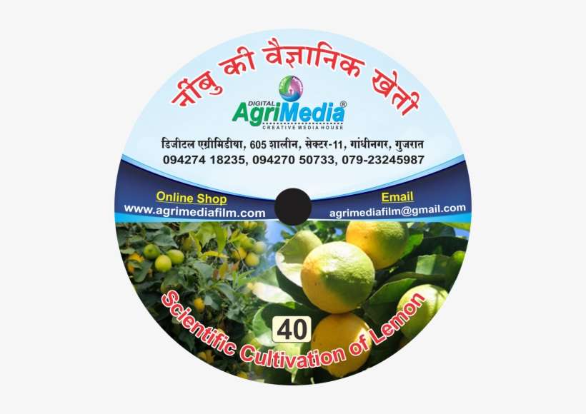 Nimbu Ki Vaiganik Kheti - Green House In Hindi, transparent png download